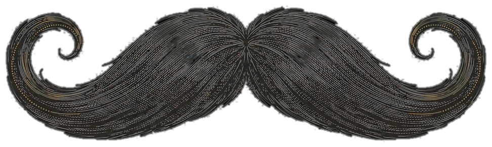 vivo hairstudio logo